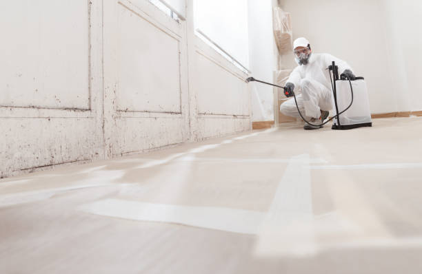 24/7 Emergency Commercial Mold Remediation experts in Arlington, GA